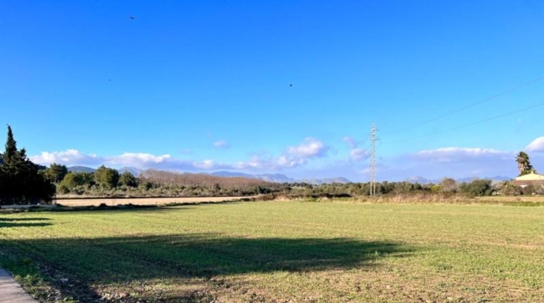 Islas Baleares - Alcúdia - 24385m2