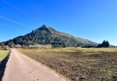 Terreno no urbanizable en venta en la España, Alcúdia, ref: TR143014 foto