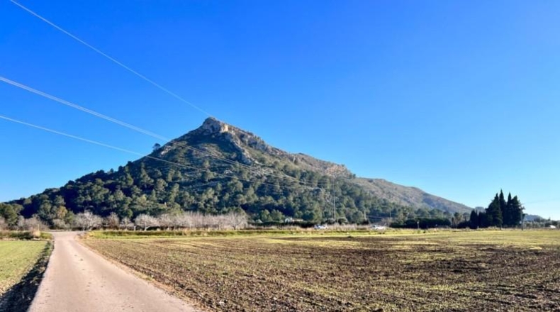 Islas Baleares - Alcúdia - 24385m2