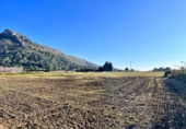 Terreno no urbanizable en venta en la España, Alcúdia, ref: TR143014 foto