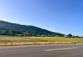 Terreno no urbanizable en venta en la España, Alcúdia, ref: TR146595 foto