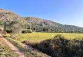 Terreno no urbanizable en venta en la España, Alcúdia, ref: TR146595 foto