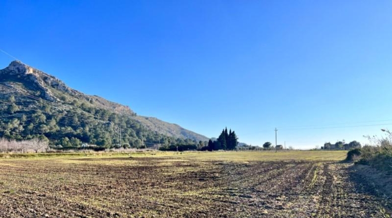 Islas Baleares - Alcúdia - 23033m2