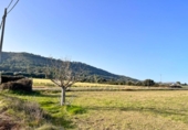 Terreno no urbanizable en venta en la España, Alcúdia, ref: TR146595 foto
