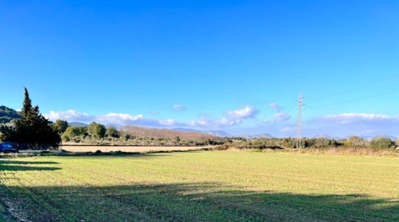 Islas Baleares - Alcúdia - 23033m2