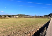 Terreno no urbanizable en venta en la España, Alcúdia, ref: TR146595 foto