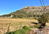 Terreno no urbanizable en venta en la España, Alcúdia, ref: TR146595 foto