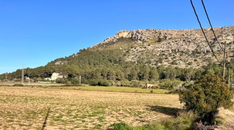 Islas Baleares - Alcúdia - 23033m2