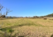 Terreno no urbanizable en venta en la España, Alcúdia, ref: TR146595 foto