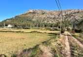Terreno no urbanizable en venta en la España, Alcúdia, ref: TR146595 foto