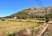 Terreno no urbanizable en venta en la España, Alcúdia, ref: TR146595 foto