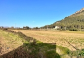 Terreno no urbanizable en venta en la España, Alcúdia, ref: TR146595 foto