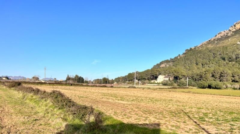 Islas Baleares - Alcúdia - 23033m2
