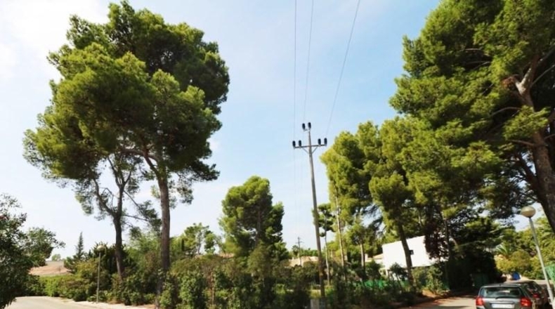 Balearic Islands - Alcudia - 1048m2