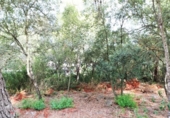 Suelo urbano en venta en la España, Alcúdia, ref: TR113470 foto