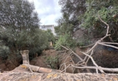 Suelo urbano en venta en la España, Muro, ref: TR218782 foto