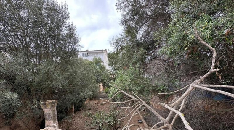 Balearic Islands - Muro - 540m2