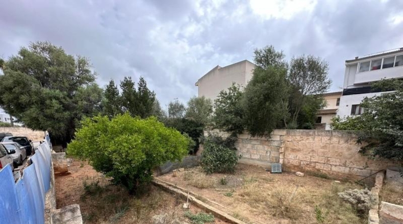Balearic Islands - Muro - 540m2