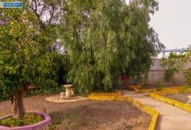 Foto 6