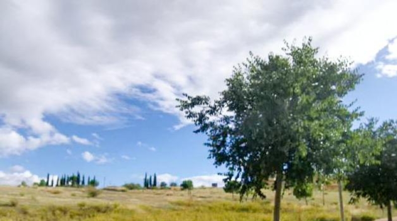Granada - Los Llanos - 6529m2
