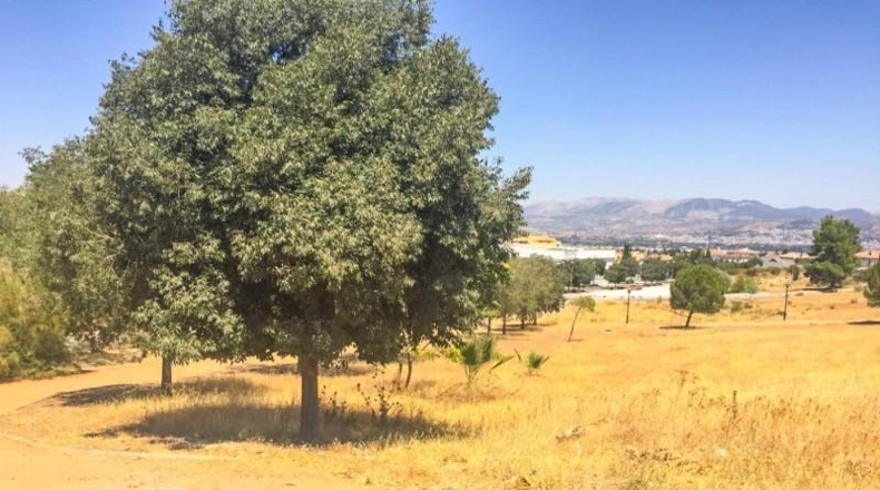 Granada - Los Llanos - 6529m2