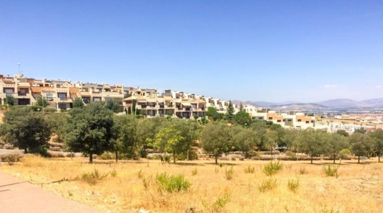 Granada - Los Llanos - 6529m2