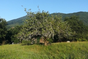 Irún 15723&nbsp;m²