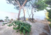Parcela urbanizable en venta en la España, Ciutadella de Menorca, ref: TR312450 foto