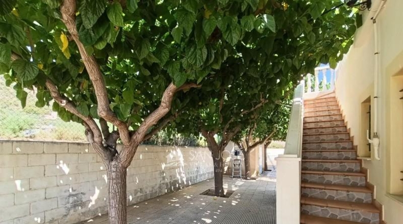 Alicante - Monforte del Cid - 11900m2