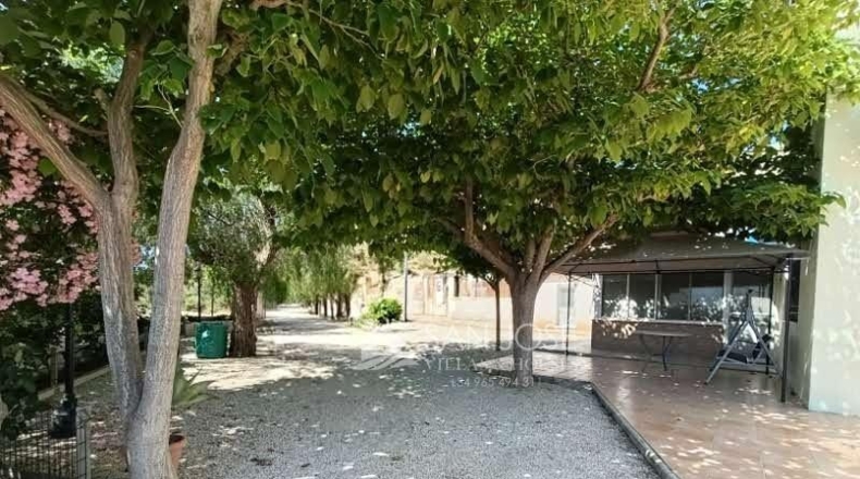 Alicante - Monforte del Cid - 11900m2