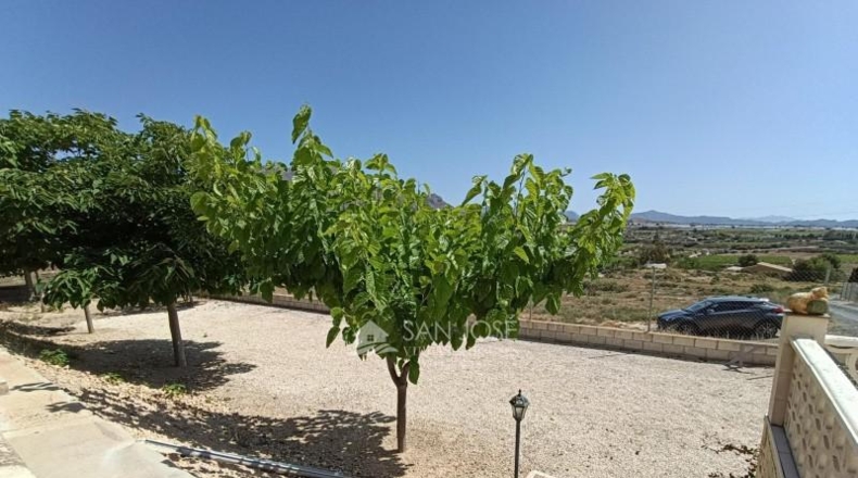 Alicante - Monforte del Cid - 11900m2