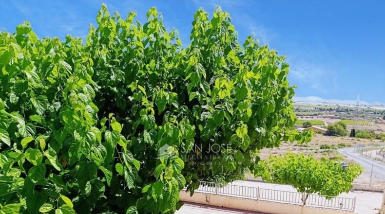 Alicante - Monforte del Cid - 11900m2