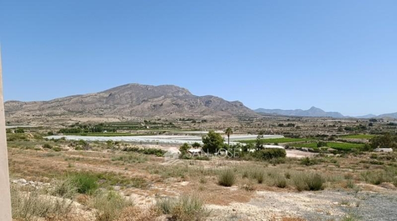 Alicante - Monforte del Cid - 11900m2