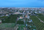Country house with land for sale on España, Oliva, ref: TR403690 photo