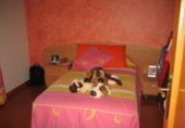 Дом с участком на продажу в городе Camponaraya Фото