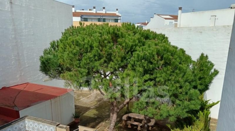 Balearic Islands - Ciutadella de Menorca - 231m2