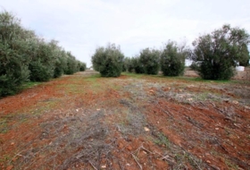 Olivenza 5500&nbsp;m²