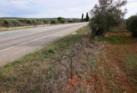 Olivenza 5500&nbsp;m²