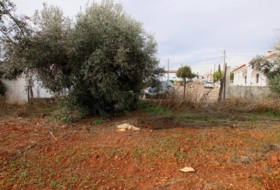 Olivenza 5500&nbsp;m²