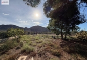 Chalet independiente con terreno en venta en la España, Requena, ref: TR350101 foto