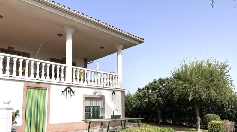 Badajoz - Medellín - 2230m2