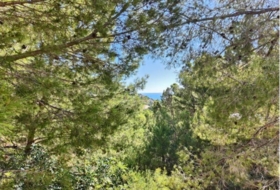 Altea la Vieja 3535&nbsp;m²