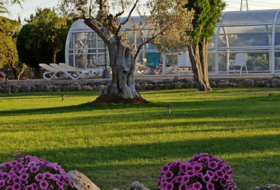Husillos 4200&nbsp;m²