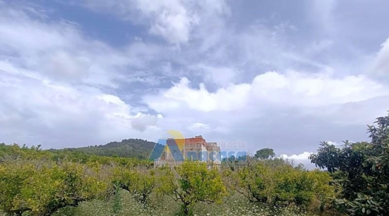 Valencia - Oliva - 17959m2