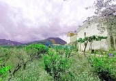 Casa de campo con terreno en venta en la España, Oliva, ref: TR147696 foto