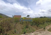 Casa de campo con terreno en venta en la España, Oliva, ref: TR147696 foto
