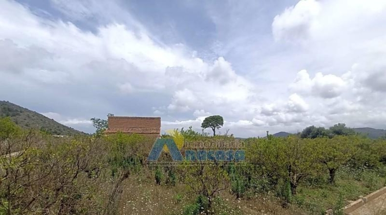 Valencia - Oliva - 17959m2