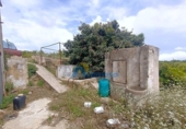 Casa de campo con terreno en venta en la España, Oliva, ref: TR147696 foto