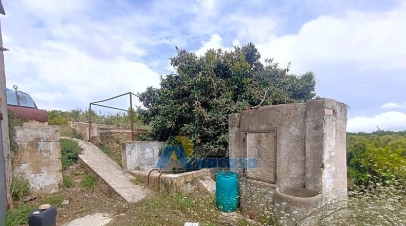 Valencia - Oliva - 17959m2