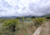 Casa de campo con terreno en venta en la España, Oliva, ref: TR147696 foto